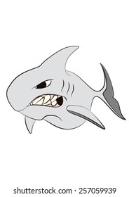 shark cartoon 