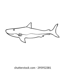 shark cartoon