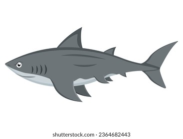 Shark cartoon character vector isolated on white background