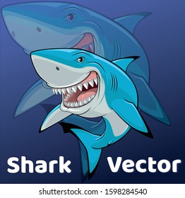 Shark Cartoon Characters , Shark Vector in Sea Blue