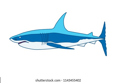 Shark cartoon illustration Isolated on white background