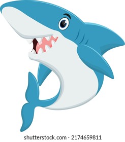 Shark cartoon isolated on white background