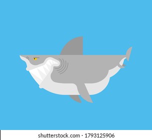 Shark cartoon isolated. Sea animal predator. Vector illustration