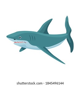 Shark cartoon vector icon.Cartoon vector illustration fish of sea. Isolated illustration of shark icon on white background.