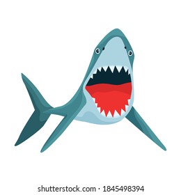 Shark cartoon vector icon.Cartoon vector illustration fish of sea. Isolated illustration of shark icon on white background.