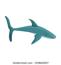 Shark cartoon vector icon.Cartoon vector illustration fish of sea. Isolated illustration of shark icon on white background.
