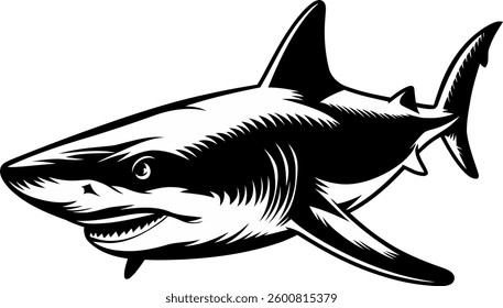 Shark cartoon vector illustration isolated on white background ,Shark cartoon vector illustration isolated on white background