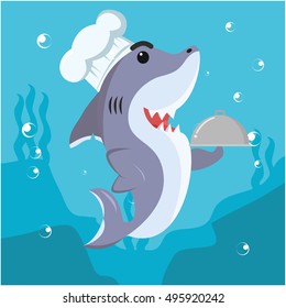 shark cheff vector illustration design