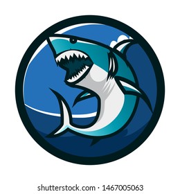 Shark circle emblem logo design. Shark icon logo identity. Shark head vector illustration