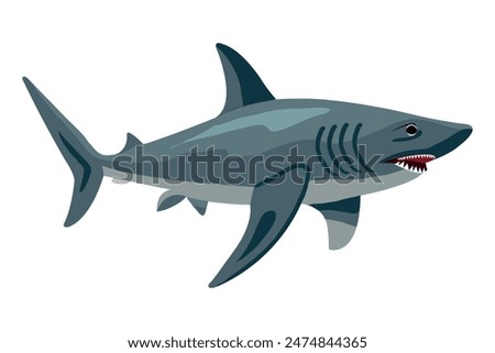 shark clipart isolated on white background