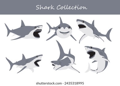 Shark collection. Vector illustration of a shark in different poses.