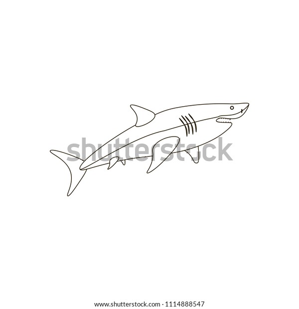 shark coloring pages on white background stock vector