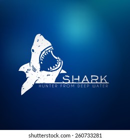 Shark concept logo with blur background. Vector illustration