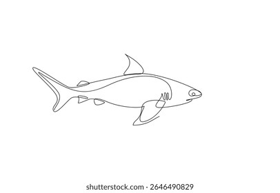 shark continuous line art drawing