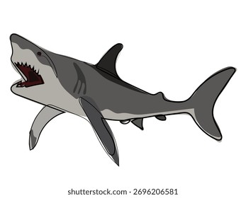 Shark in continuous line drawing