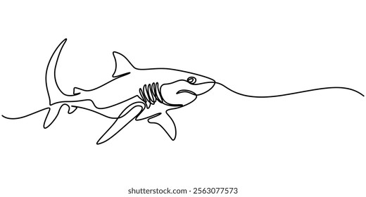 Shark Continuous Line Drawing, One line drawing of a shark. Graphic vector illustration of shark continuous line drawing, Continuous one line drawing of shark fish. Simple illustration of saltwater. 