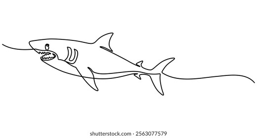Shark Continuous Line Drawing, One line drawing of a shark. Graphic vector illustration of shark continuous line drawing, Continuous one line drawing of shark fish. Simple illustration of saltwater. 