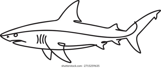 Desenho de linha contínua do tubarão. Ilustração de vetor animal marinho de peixes predadores de estilo de linha única isolada em fundo transparente. Conceito de vida selvagem aquática subaquática. Desenho artístico simples de um grande contorno de tubarão branco.