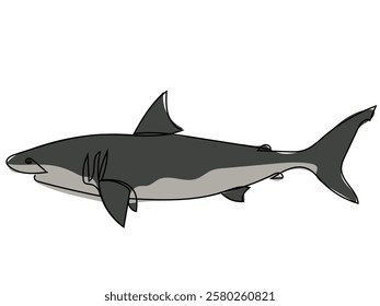 Shark in continuous line style on a white background.