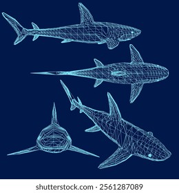 shark contour set. Vector illustration