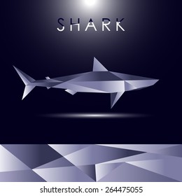Shark cubist vector concept