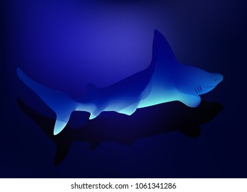 Shark in the deep blue see with shadow on the bottom