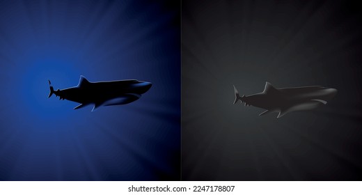 Shark in the depths of the ocean.
