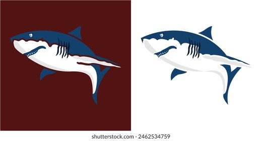 Shark Design Vector Illustration Template