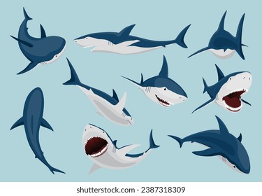 Shark in different poses. Marine predator fish character. Underwater wildlife and ocean animals. Cartoon flat isolated icons set on white background. Vector illustration