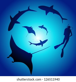 Shark and diver, swimming with sharks