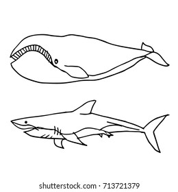 Shark and Dolphin vector illustration. Doodle style. Design icon, print, logo, poster, symbol, decor, textile, paper, card. 