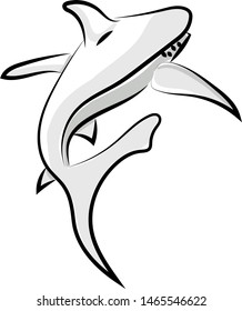 Shark drawing, illustration, vector on white background.