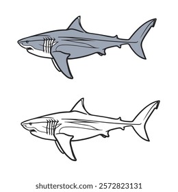 Shark. Drawing with line art. Hand drawn. Cartoon. Megalodon. Predator. Easy to edit. Vector illustration