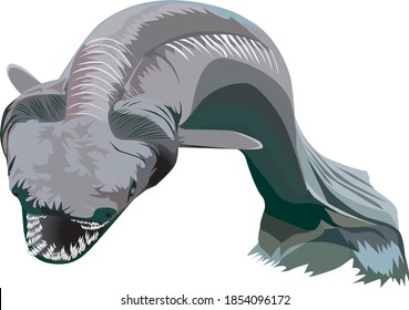 Shark eel vector - illustration eel shark