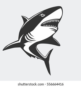 Shark emblem isolated on white vector illustration for a sport team.