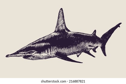 shark. engraving style. vector illustration.