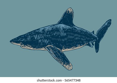 Shark. Engraving Style. Vector Illustration.