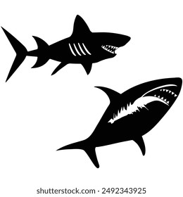Shark eps, Shark Silhouette, outline, art, design, logo - Shark Illustration Instant Download