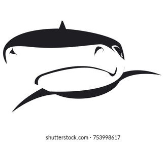 shark face in black un white