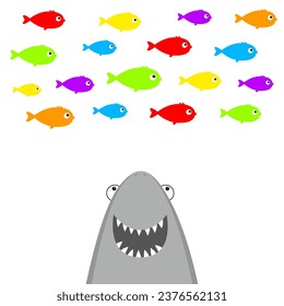 Shark face head with open mouth and sharp teeth looking at colorful fish set. Cute cartoon kawaii animal character. Sea ocean wild animal. Sticker print template. Flat design. White background. Vector