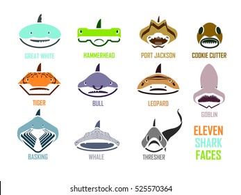 Shark Faces