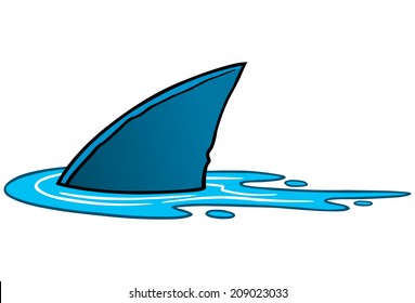 Shark Fin