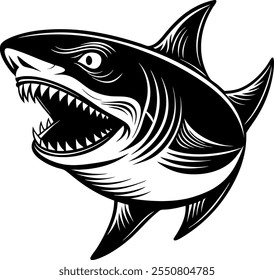 Shark fish, black and white image for illustration.