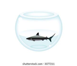 Shark in fish bowl. Transparency flattened.