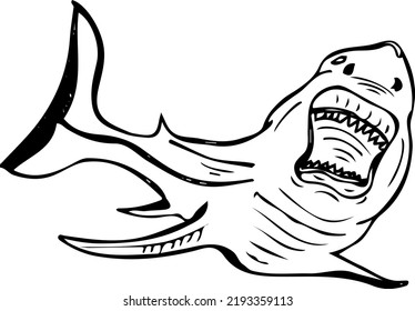 Shark fish doodle, Dangerous Shark cartoon drawing, line art illustration vector of shark fish, Fish clipart silhouette