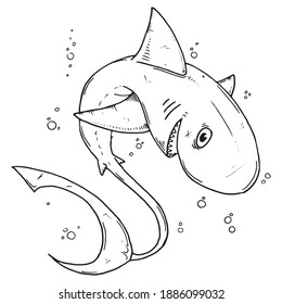 Shark fish icon. Vector cartoon shark.