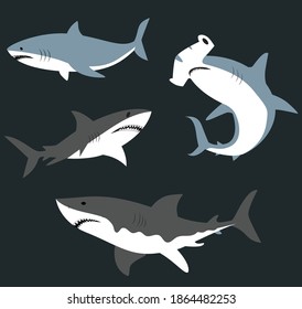 Shark Fish illustration vector set