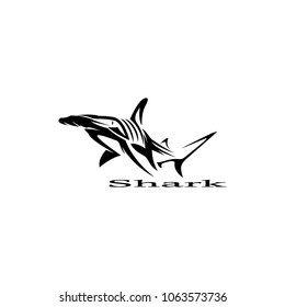 shark fish logo