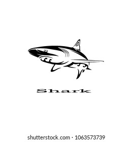 shark fish logo