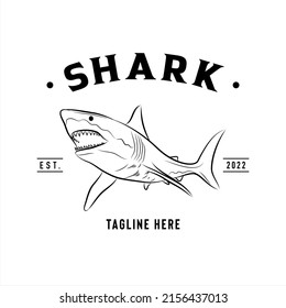 Shark fish logo, company logo design idea, vector illustration